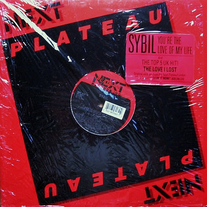 Sybil - You're The Love Of My Life - Image 3