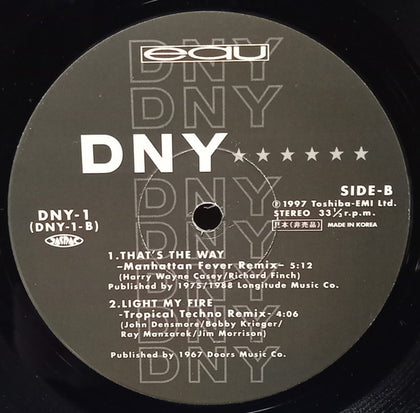 DNY (Descarga New York) - Besame Mucho - Image 2