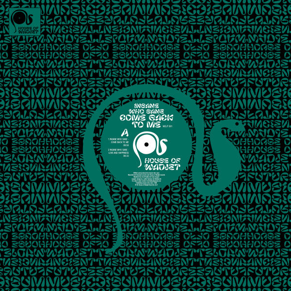 (Nuevo) insane who sane – Come Back To Me