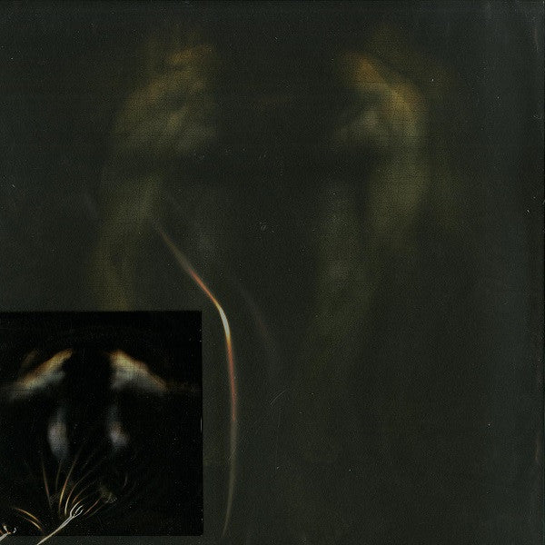 (Usado vg+) Sunny Charles – DLNOIW: The Remixes