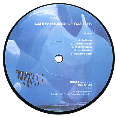 Larry Heard - Ice Castles - Image 3
