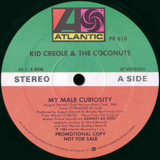 Kid Creole And The Coconuts - My Male Curiosity - Image 1
