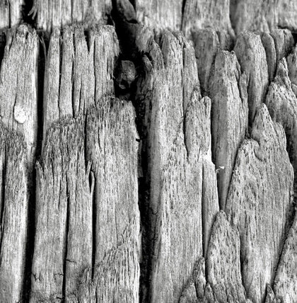 Altitude - Flux EP - Image 1
