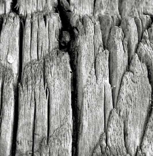 Altitude - Flux EP - Image 1