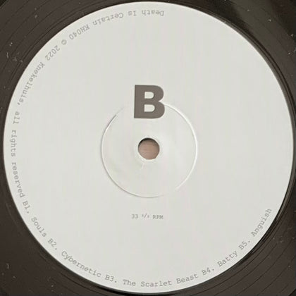 Jimmy Smack - Death Is Certain - Image 8