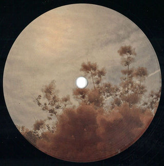 (Nuevo) Nami (5) – #007