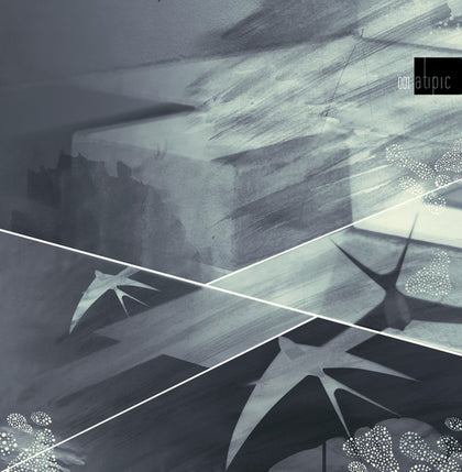 (Nuevo) Adrian Niculae – Atipic 001