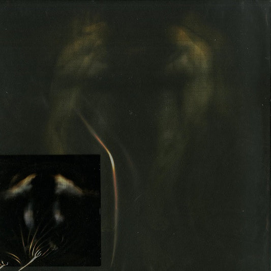 (Usado vg+) Sunny Charles – DLNOIW: The Remixes