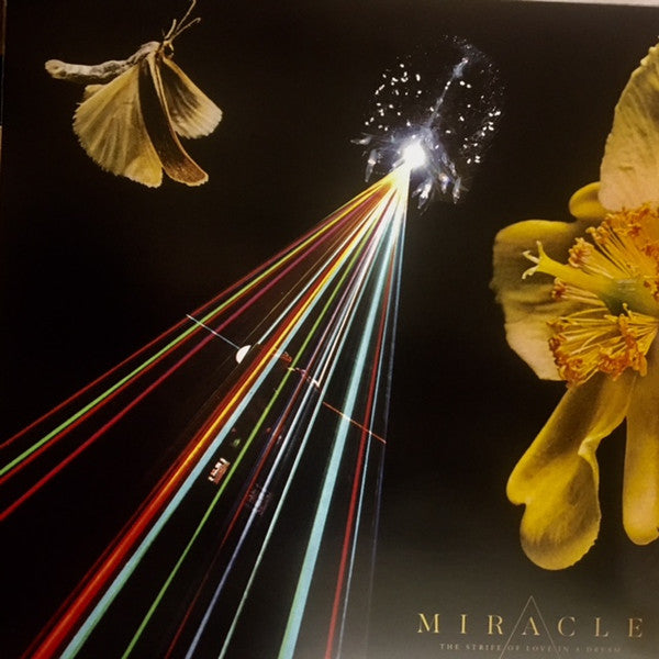 Miracle – The Strife Of Love In A Dream *NUEVO*